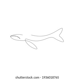 Whale Animal Line Drawing, Vector Illustration