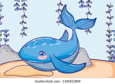 whale animal with seaweed plants hanging
