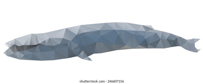  Whale animal in triangle style. Origami silhoette