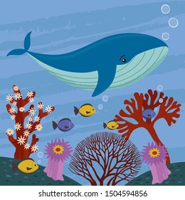 A whale and another fish under the clean sea