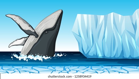 A whale in antarctica illustration