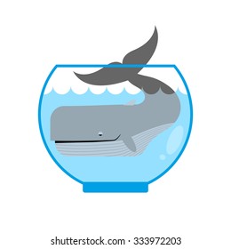 Whale in  Aquarium. Large sea animal is not put into Aqua. Tail is sticking out of  water. Mini marine mammals.