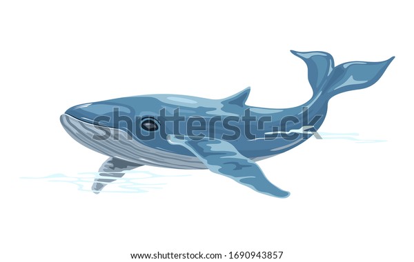 Whale Aquatic Placental Marine Mammal Streamlined Stock Vector (Royalty