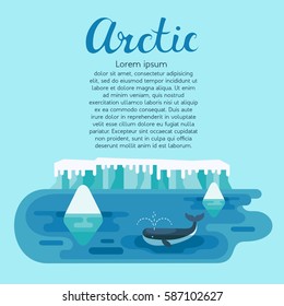 Whale between icebergs. Arctic scene with snow-covered icy hummocks and marine animal in cold North ocean. Poster template. Flat design style. Copy space. Vector illustration.