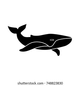 Whale black icon .