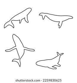 Whale, black line silhouette ocean animal. Sealife in Scandinavian style on a white background. Great for poster, card, apparel print. Vector illustration
