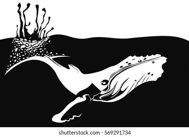 Whale black and white