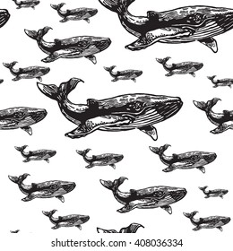 Whale black and white seamless vector pattern. Realistic engraved style of whale animals on white background.