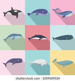 Whale blue tale fish icons set. Flat illustration of 9 whale blue tale fish vector icons for web