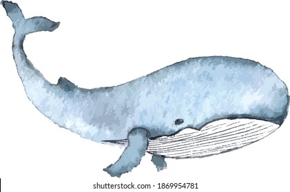 Whale blue watercolor drawing sperm whale