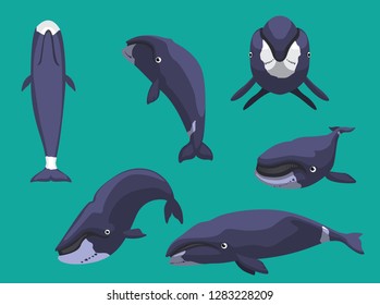 Whale Bowhead Various Poses Cartoon Cute Vector