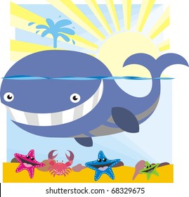 Whale cartoon - Ocean wildlife colorful vector illustration