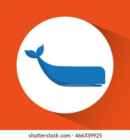 Whale cartoon over circle icon. Sea lifestyle. Colorfull Vector illustration