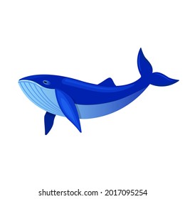 Whale in cartoon style isolated on white background.