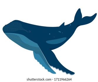 Whale in cartoon style. Sea animal isolated on white background.