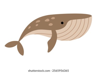 Whale clipart. Cute Arctic animal clipart. Hand draw vector illustration in flat style