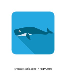 Whale color flat icon