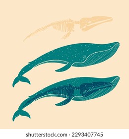 Whale. Colorful cute screen printing effect. Riso print effect. Vector illustration. Graphic element  for fabric, textile, clothing, wrapping paper, wallpaper, poster.