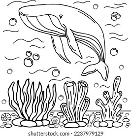 Whale Coloring Page Colored Illustration