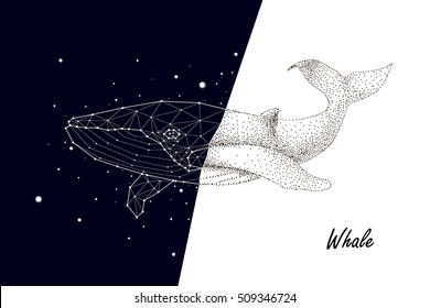 whale, constellation, graphics, black and white, contrast, vector