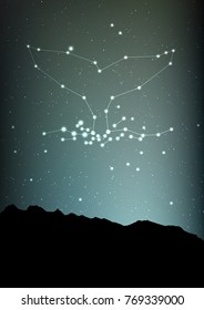 Whale constellation vector art. Sea whale in constellations and star on night sky and forest landscape. Starry whale in deep dark sky with line and shiny dots