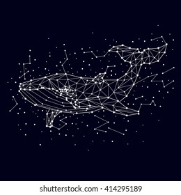 whale, constellation , vector graphics