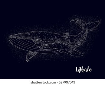 whale, constellation , vector graphics