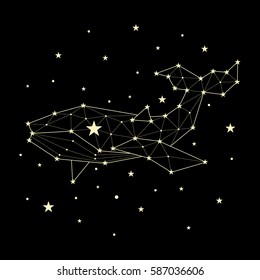 whale, constellation , vector graphics