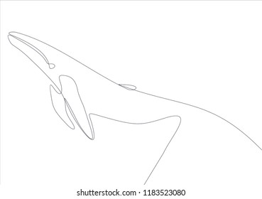 Whale. Continuous line