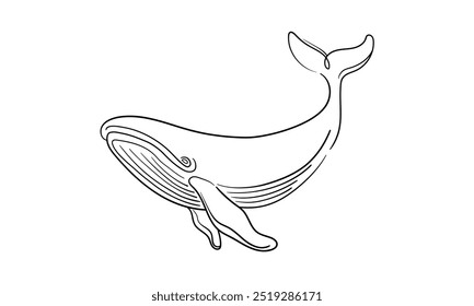 Whale continuous line art drawing isolated on white background. Wildlife animals. Vector illustration