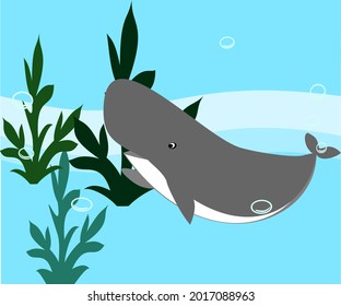 whale cute sea animals, vector illustration sea animals , painting, drawing