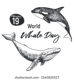 Whale Day emblem, February 19, 2025. Vector linear drawing of humpback whale and killer whale. Concept of global problem of preserving animal diversity in the ocean. Design for t-shirt.