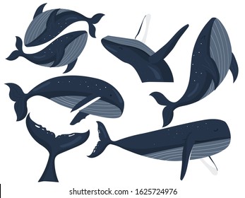 whale of different gesture poses