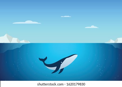 Whale diving on the Arctic vector illustration. Winter arctic illustration