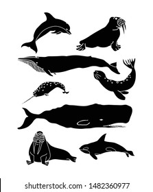 Whale, dolphin and seal vector poster. Cetacean black silhouette drawing. Sea animals set.