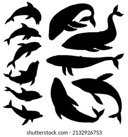 Whale and dolphin silhouette set. Jumping playful sea aquatic animal doodle vector Illustration.
