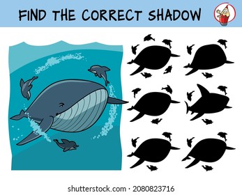 Whale and dolphins. Find the correct shadow. Educational matching game for children. Cartoon vector illustration