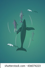 Whale and dolphins.Top view vector illustration.