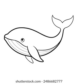 whale drawing book characer for kids colouring season outline design illustration