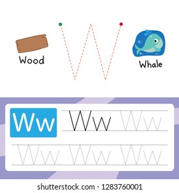 whale drawing line vector design