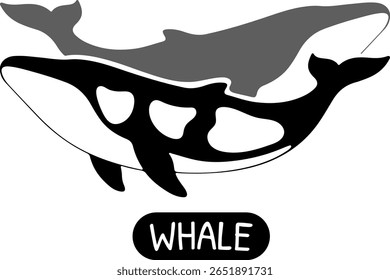 Baleia Duo preto e branco mamíferos marinhos ilustração