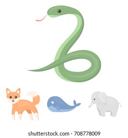 Whale, elephant,snake, fox.Animal set collection icons in cartoon style vector symbol stock illustration web.