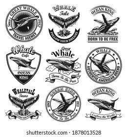 Whale emblems set. Monochrome design elements with whale tails in ocean and text. Nature or wildlife concept for travel agency stamp, label, sign templates