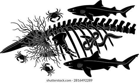 Whale Fall Whale Skeleton Silhouette Vector Set with Sharks Crabs and Hagfish Scavengers Feeding on Deep Ocean Sea Floor Ecosystem Graphic.eps