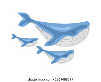 Whale family. Mother and baby whales. Blue whales on a white background. Stylized set of sea animals. Vector illustration