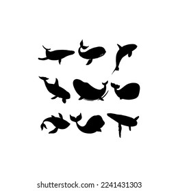 whale fish animal set icon design