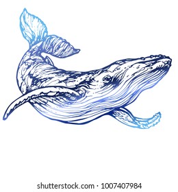 Whale fish ink hand drawn line art outline sketch tattoo, vector illustration for coloring book page