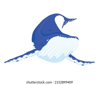 whale fish sealife animal icon