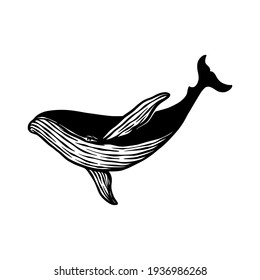 Whale Fish Silhouette Vector Hand Drawn