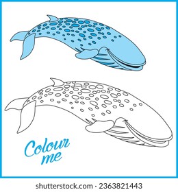 Whale fish Vector Colouring book for kids
